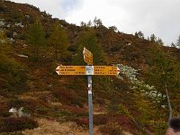 Località Sopra Sasso della Preda, prendiamo direzione Passo del Sassello  DSCN9390 - Copy